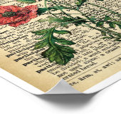 赤ポピー花アートプリントポスターヴィンテージページ ポスター (角)