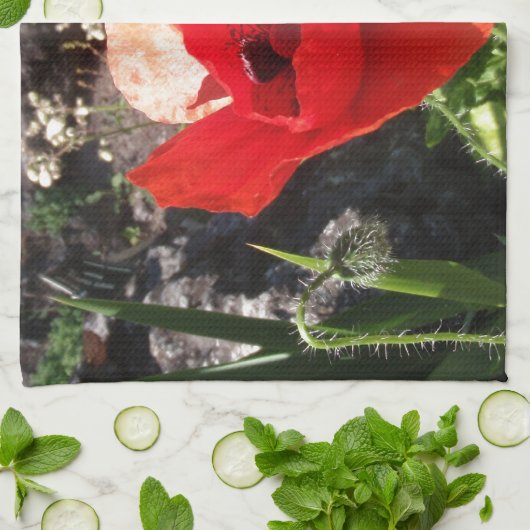 赤ポピー キッチンタオル (折り畳み)