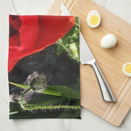 赤ポピー キッチンタオル (四つ折り)