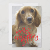 赤メリーい写真 シーズンカード (正面)