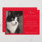 赤メリー猫ペット写真 シーズンカード (正面/裏面)