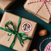 赤モダンとティール(緑がかった色)の骨のパターン犬の家族写真 ラウンドシール