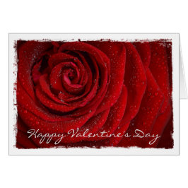 赤モダンローズカスタム文字グリーティングカード