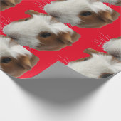 赤モルモット包装紙 ラッピングペーパー (角)