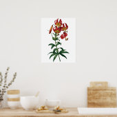 赤ユリの植物性プレミアム品質プリント ポスター (キッチン)