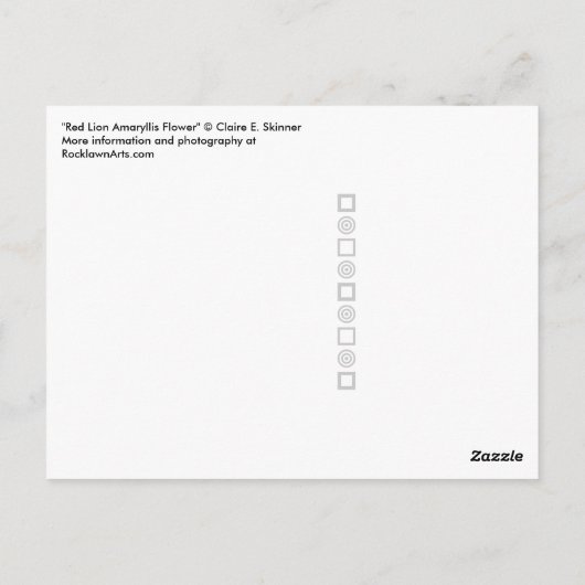 赤ライオンアマリリス花写真はがき ポストカード (裏面)