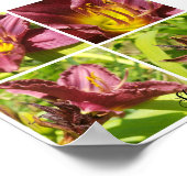 赤ライリーの品揃え ポスター (角)