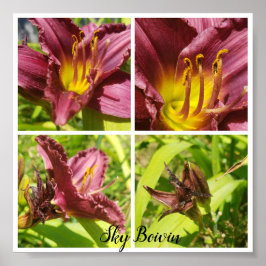 赤ライリーの品揃え ポスター