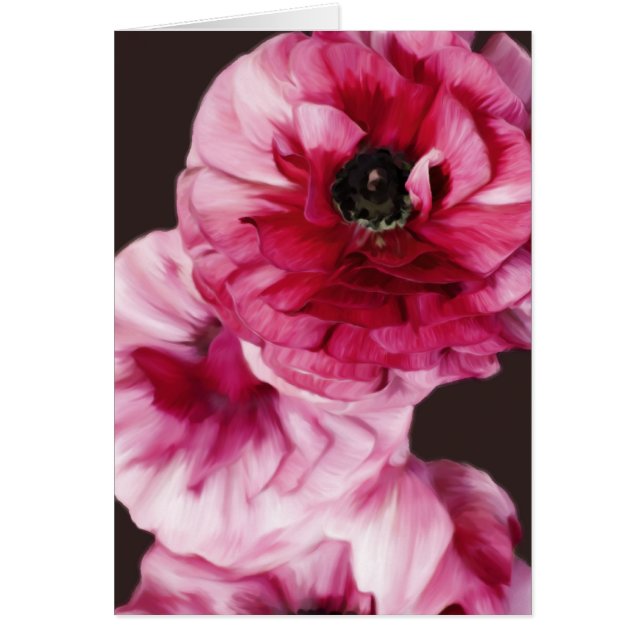 赤ラヌンキュラス (正面)