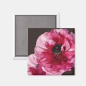 赤ラヌンキュラス マグネット (正面/裏面)