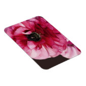 赤ラヌンキュラス マグネット (右側)