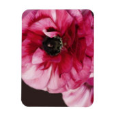 赤ラヌンキュラス マグネット (縦)