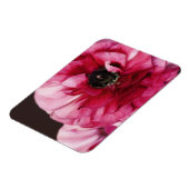 赤ラヌンキュラス マグネット (左側)