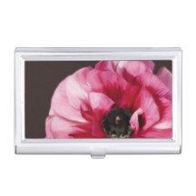 赤ラヌンキュラス