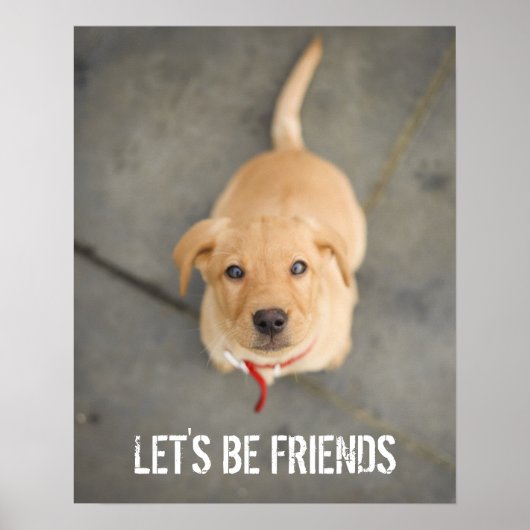 赤ラブラドール子犬 ポスター (正面)