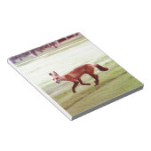 赤ランニング狐の写真 ノートパッド (アングル)