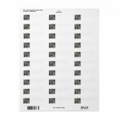 赤リス差出人住所ラベル ラベル (フルシート)