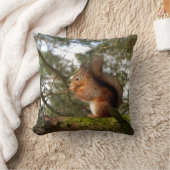 赤リス枕/クッション クッション (ブランケット)