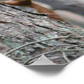 赤リス自然ポスター ポスター (角)