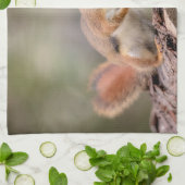 赤リス キッチンタオル (折り畳み)