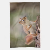 赤リス キッチンタオル (縦)