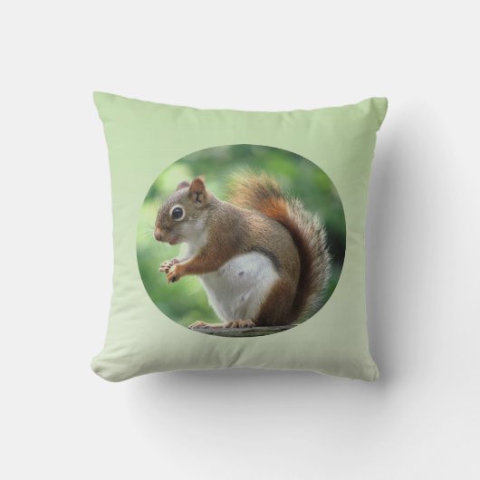 赤リス クッション (正面)