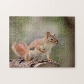 赤リス ジグソーパズル (横)