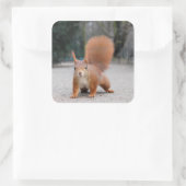 赤リス スクエアシール (バッグ)