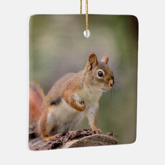赤リス セラミックオーナメント (右)