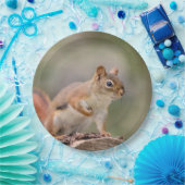 赤リス ペーパープレート (パーティー)