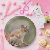 赤リス ペーパープレート (パーティー)