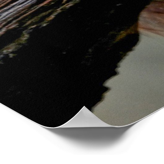 赤リス ポスター (角)