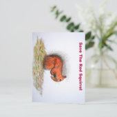 赤リス ポストカード (スタンド正面)