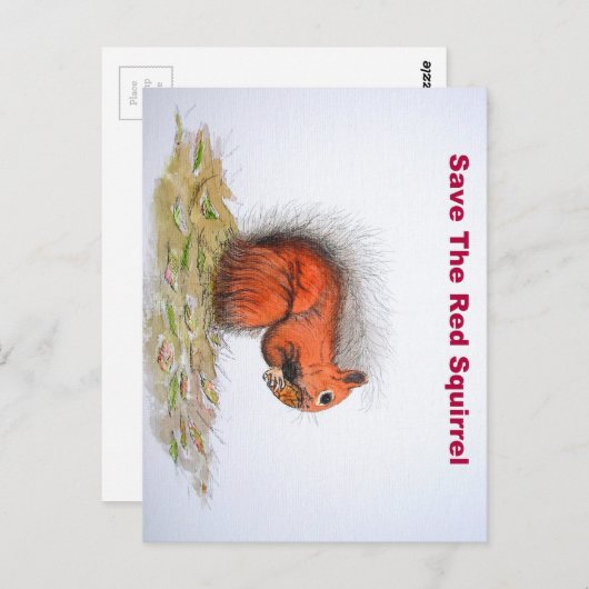 赤リス ポストカード (正面/裏面)