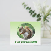 赤リス ポストカード (スタンド正面)