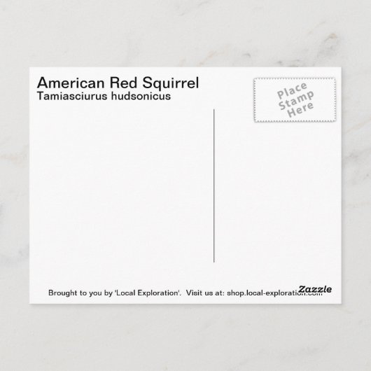 赤リス ポストカード (裏面)