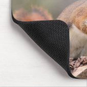 赤リス マウスパッド (コーナー)