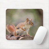 赤リス マウスパッド (マウス)