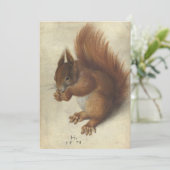 赤リス | Hans Hoffmann (スタンド正面)