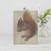 赤リス(Hans Hoffmann) (スタンド正面)