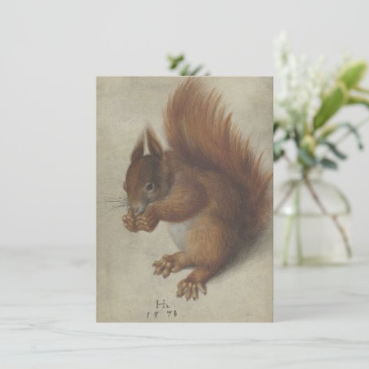 赤リス(Hans Hoffmann) (スタンド正面)