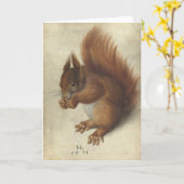 赤リス | Hans Hoffmann カード (黄色い花)