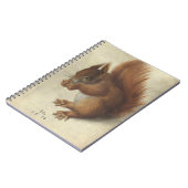 赤リス | Hans Hoffmann ノートブック (左側)