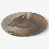 赤リス(Hans Hoffmann) ペーパープレート (アングル)