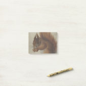 赤リス(Hans Hoffmann) ポストイット (デスク上)