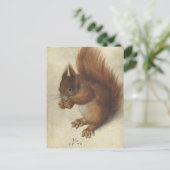 赤リス | Hans Hoffmann ポストカード (スタンド正面)