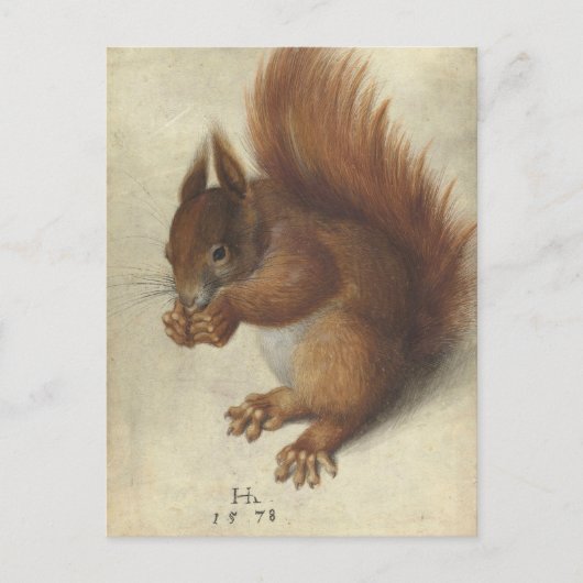 赤リス | Hans Hoffmann ポストカード (正面)