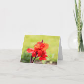 赤リリー ノートカード (正面)