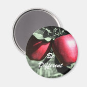 赤リンゴ違うは固やる気を起こさせる定 マグネット (正面/裏面)