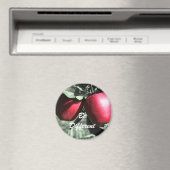 赤リンゴ違うは固やる気を起こさせる定 マグネット (インサイチュ (食洗機))